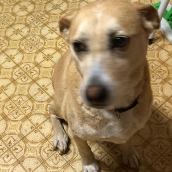 Meet your Posher, Crystal - Picture 5 of 10